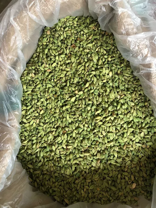 Cardamom 1 kg uploaded by Marwa foods on 11/15/2022