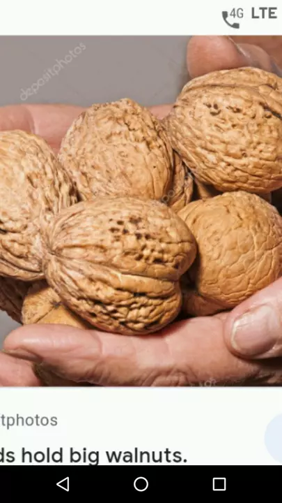 King size wallnuts... uploaded by business on 11/16/2022