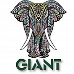 Business logo of Giant store's india