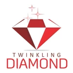 Business logo of Twinkling diamonds