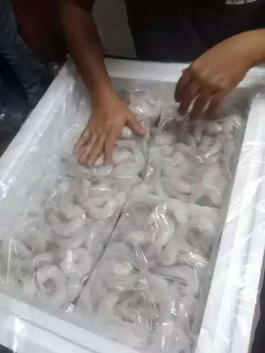 Frozen IQF prawns  uploaded by business on 11/17/2022