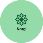 Business logo of Norgi