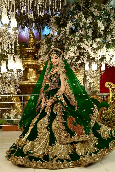 Bridal lehenga  uploaded by Aayushi_Saree on 11/18/2022
