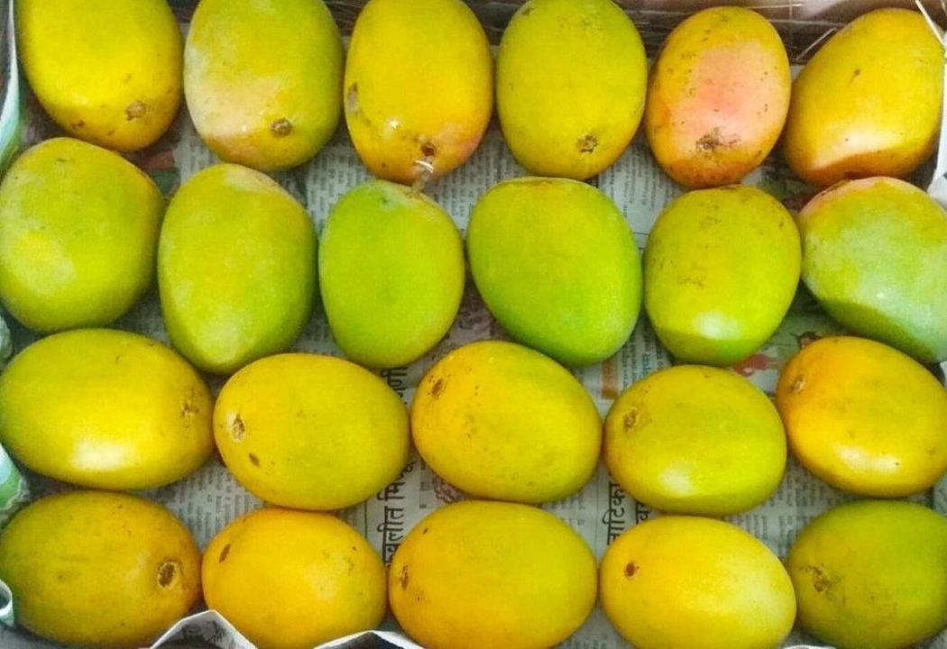 Alphanso Mango uploaded by business on 1/20/2021
