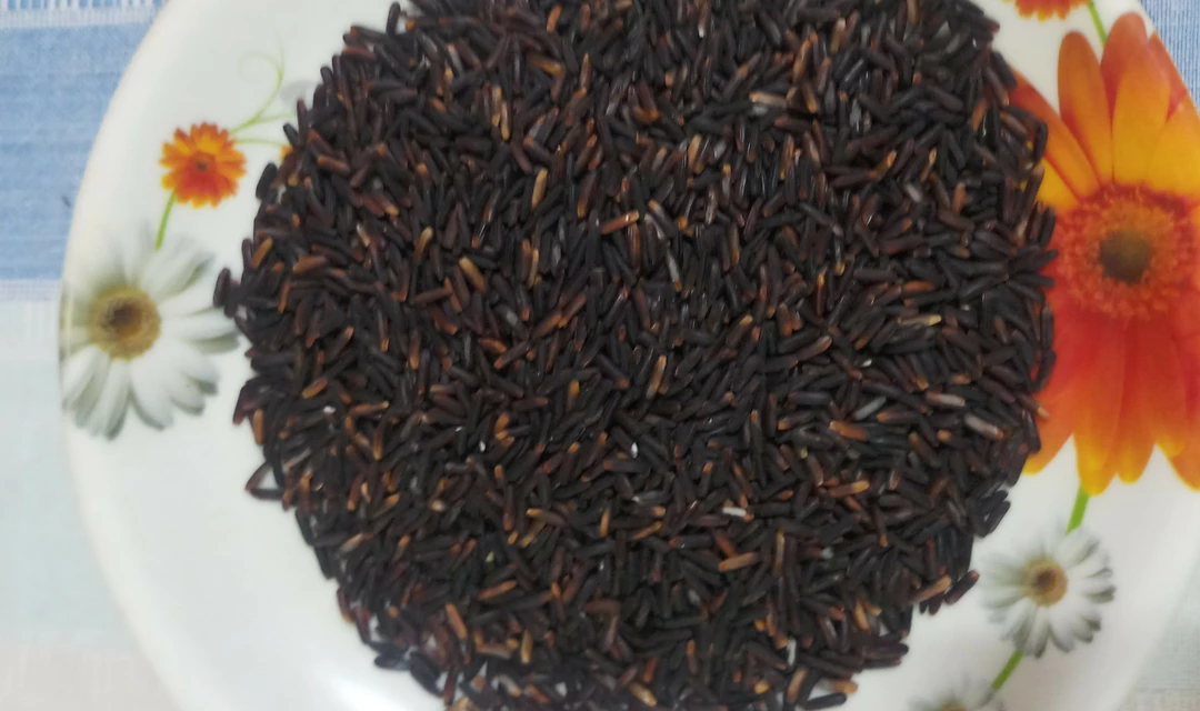 Black Rice (forbidden Rice)  uploaded by business on 11/21/2022