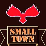 Business logo of SMALL TOWN