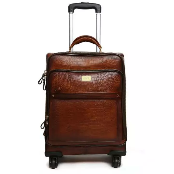  leather Luggage trolley bag  uploaded by business on 11/22/2022