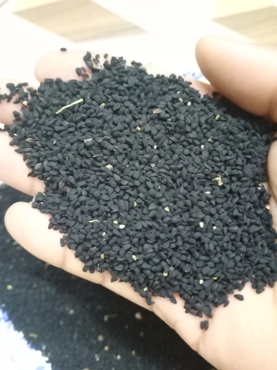 Black Cumin - Kalo Jeera - Fennel Flower - Nigella Seeds - Black Jeera Seed Seed uploaded by BKRM NUR PURE PVT LTD on 11/23/2022