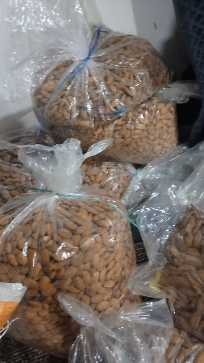 Almonds kernels  uploaded by ZOHRA AGRO FARMS on 11/23/2022