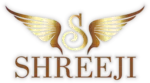 Business logo of Shree ji Exclusive