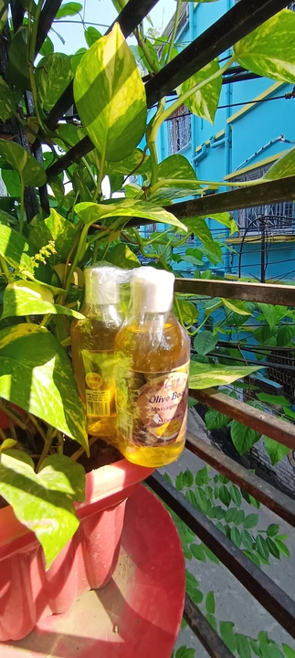 Plp herbal Holi body massaging oil 200 ml uploaded by PLP Production and Marketing Pvt Ltd on 11/27/2022