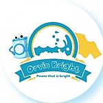 Business logo of Orvin bright