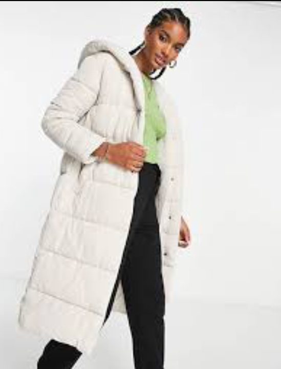 Product image of *Ladies long Korean jacket *, price: Rs. 350, ID: ladies-long-korean-jacket-d1748301