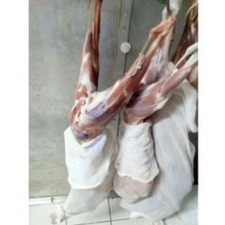 Factory Store Images of CLJ MEAT SUPPLYERS