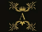 Business logo of Ayush garments $ girls emporium
