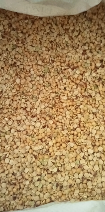 Desi tuvar daal uploaded by business on 12/2/2022