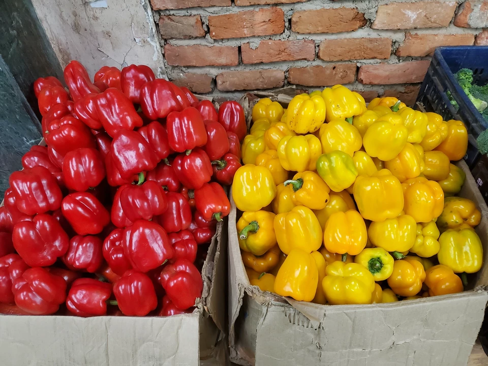 Factory Store Images of Red Yellow Imported Exotic Vegetables