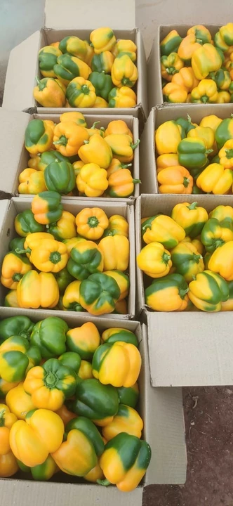 Warehouse Store Images of Red Yellow Imported Exotic Vegetables