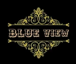 Business logo of Blue view