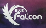 Business logo of Blue falcon