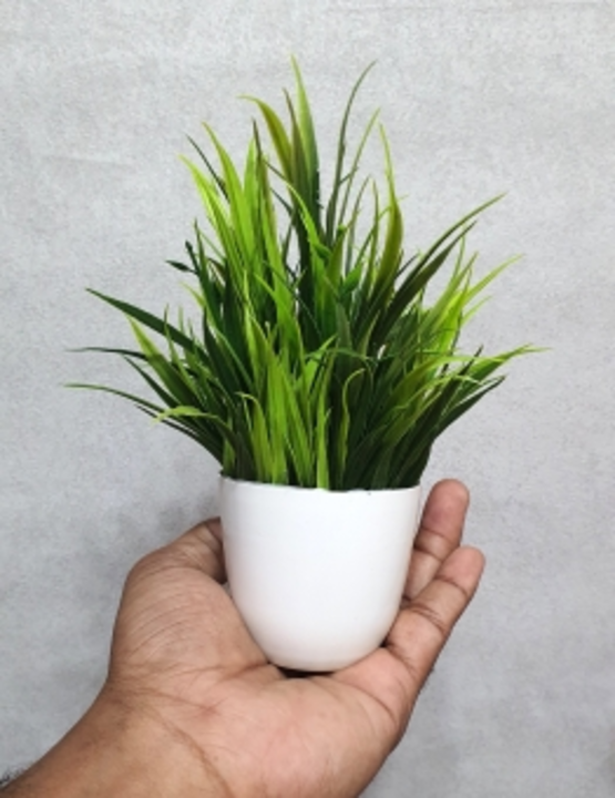 Artificial plants  uploaded by business on 12/6/2022