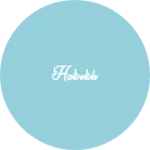 Business logo of Holselsh