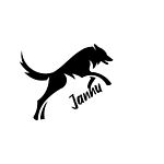Business logo of Jannu