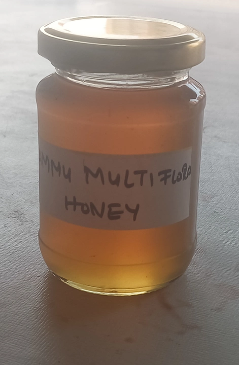 Jammu Multi flora honey uploaded by business on 12/10/2022