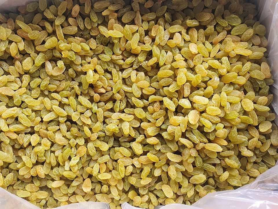 Goldan kismis uploaded by Riddhi Siddhi Agro products on 1/31/2021