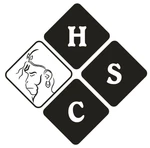 Business logo of HANUMAN SILK CREATION