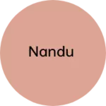Business logo of Nandu