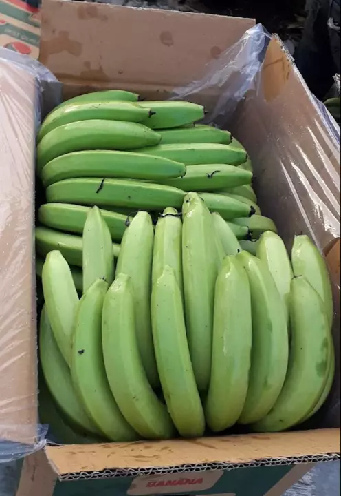 Banana green uploaded by PS Enterprises on 12/17/2022
