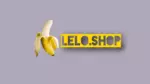 Business logo of Lelo Store