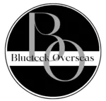 Business logo of Blueteek Overseas
