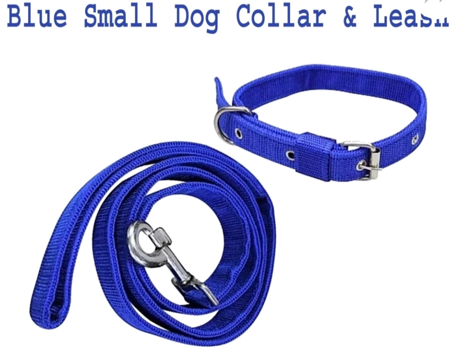 BIB PP LEASHES AND COLLARS LARGE 1.25 INCHES uploaded by business on 12/21/2022