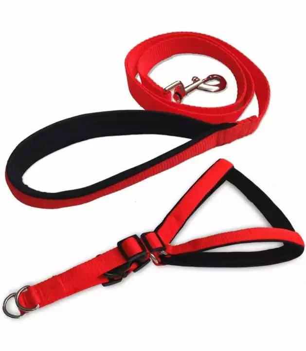 BIB PP LEASHES AND HARNESS SMALL. 75 INCHES  uploaded by business on 12/21/2022