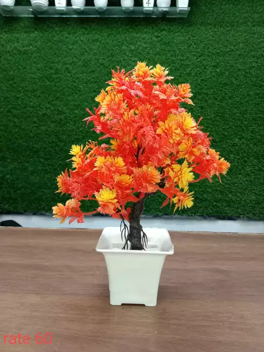 Fancy Mini bonsai uploaded by Rankawat marketing on 12/23/2022