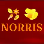 Business logo of Norris Dryfruits & Spices