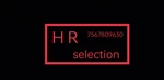 Business logo of H R selection