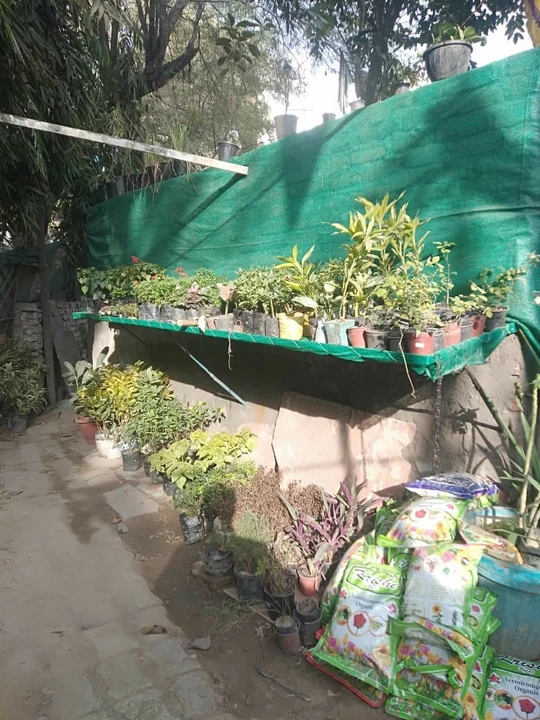 Factory Store Images of Shiv poonam nursery