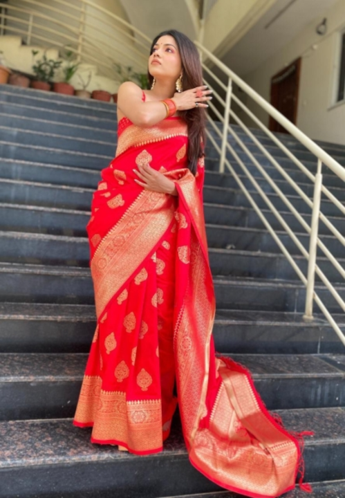 Kanjivaram Pure Silk, Art Silk Saree

 uploaded by Jay ma ambe fashion on 12/28/2022