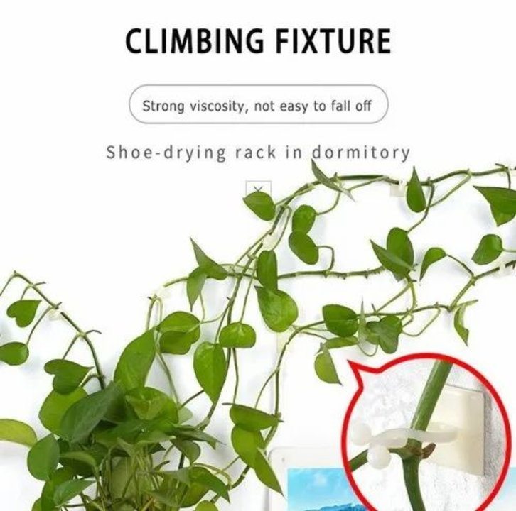 Plant Climbing Fixing Clip Set Of 30Pcs uploaded by LOOZITO BUSINESS on 12/31/2022