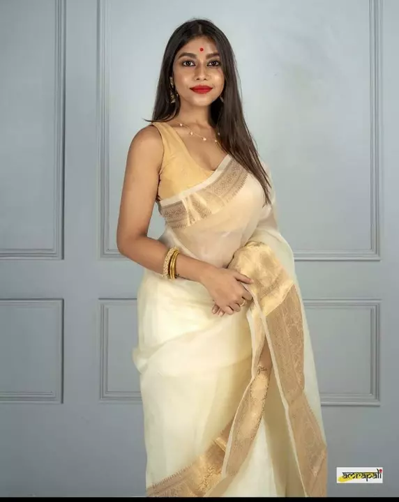 Banarasi daybal kora arganza soft silk sarees uploaded by Ms & sons on 12/31/2022