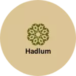 Business logo of Hadlum