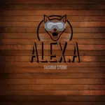 Business logo of ALEX Fashion studio