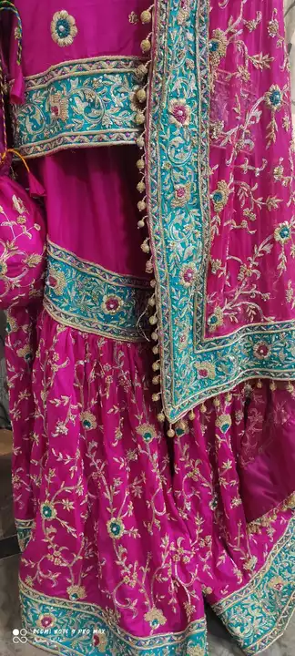 Bridal gharara uploaded by business on 1/3/2023
