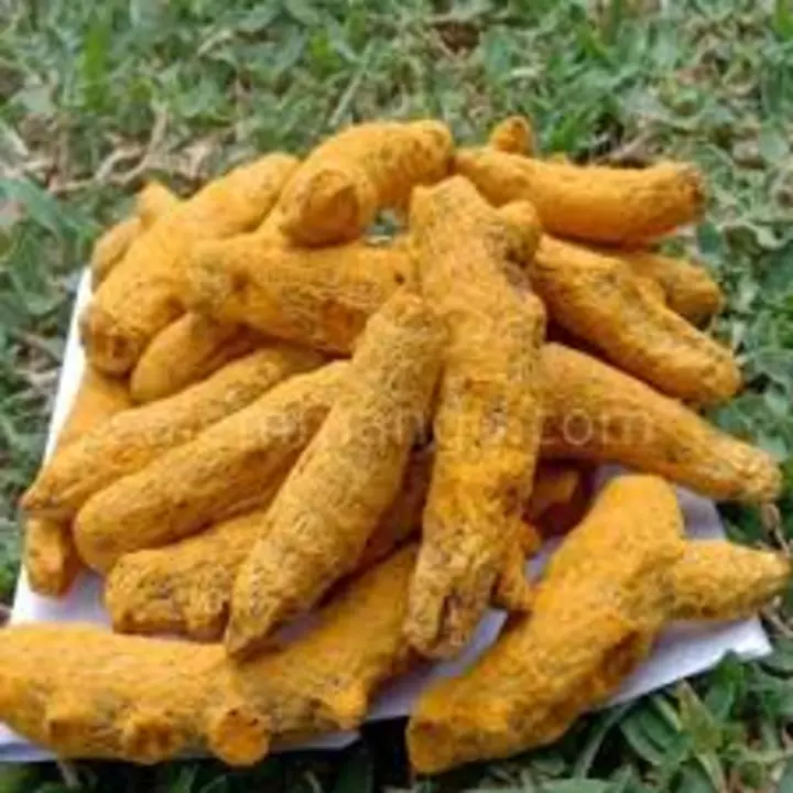 Turmeric  uploaded by business on 1/3/2023