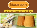 Business logo of Vidhata foods