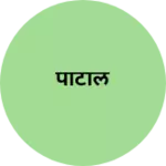 Business logo of पाटील