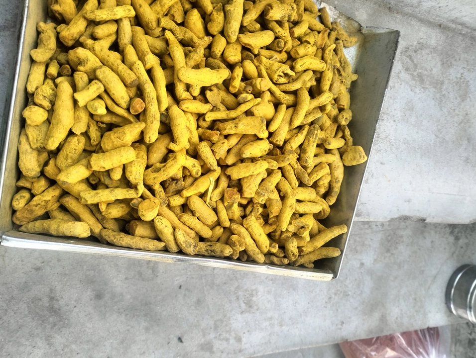 Turmeric finger uploaded by business on 1/6/2023